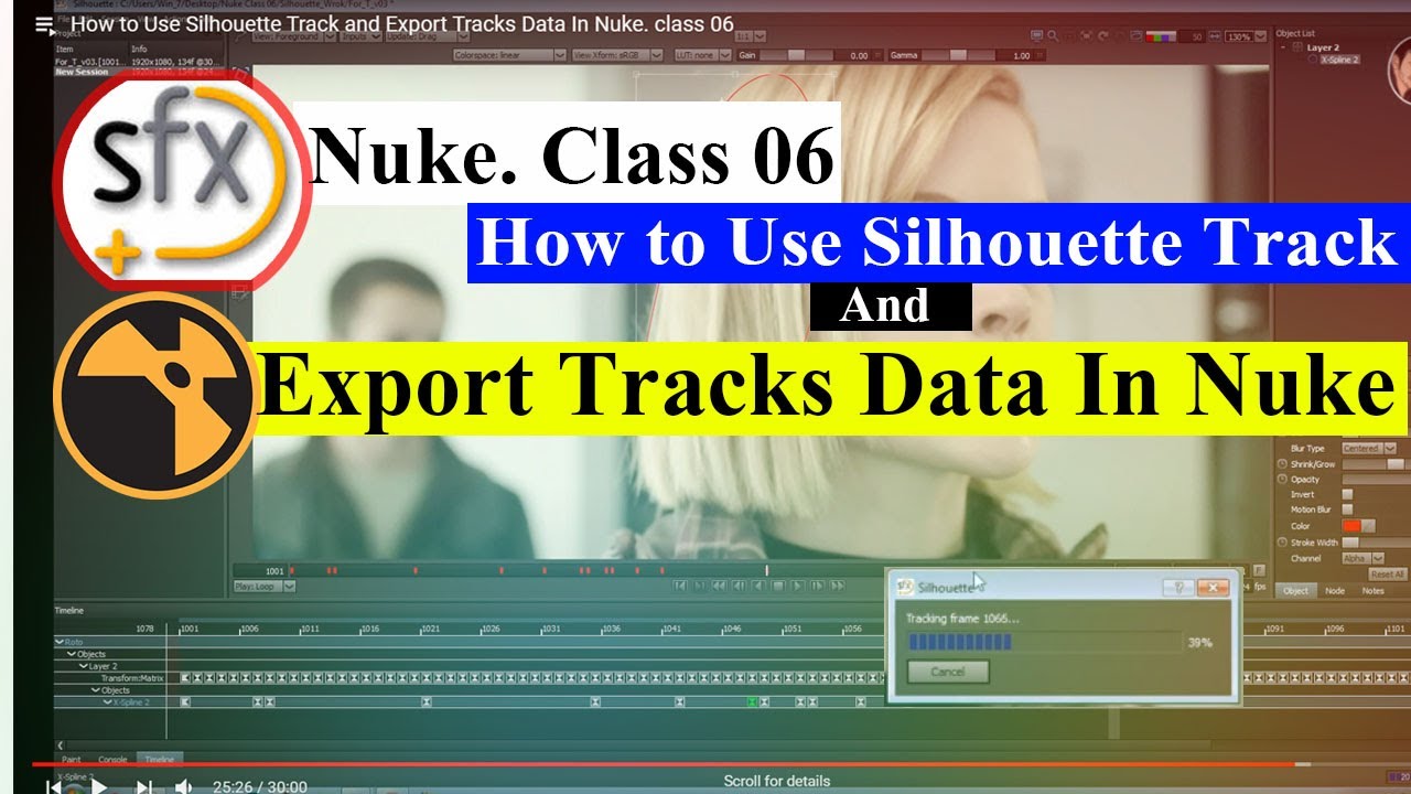 How to Use Silhouette Track and  Export Tracks Data In Nuke. class 06