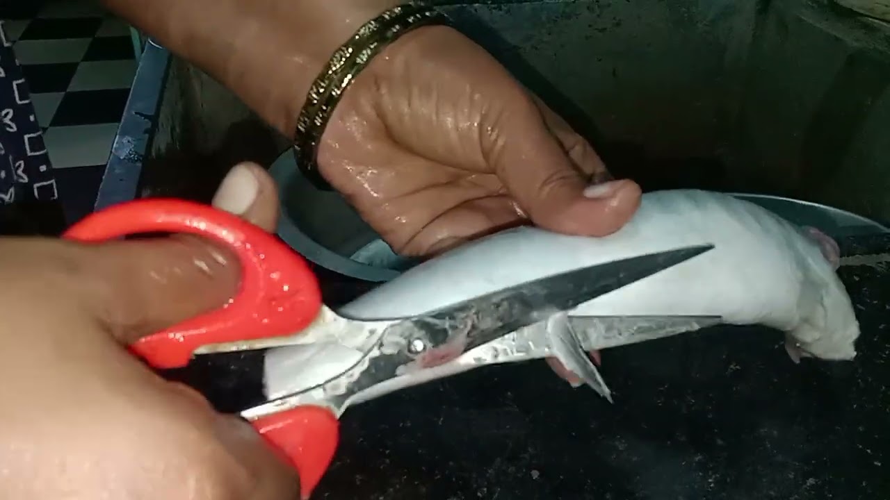 Sheela meen cleaning 