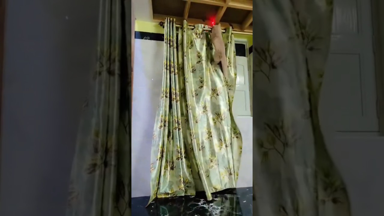 Missed Me? I'm back - Say Hii to Zuki Dior.