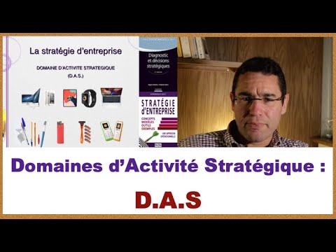 DAS Domaine dactivit stratgique   explication et exemples