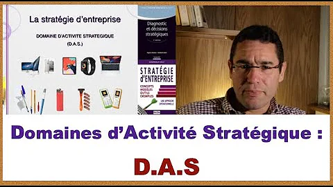 Qu'est-ce qu'un domaine d'activité stratégique exemple ?