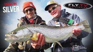 FLY TV - Springtime Silver - Sea Trout Fly Fishing in Denmark