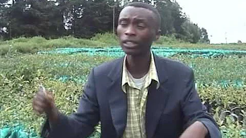 Sammy Mbugua | Youth leaders | Sasumua Dam catchme...