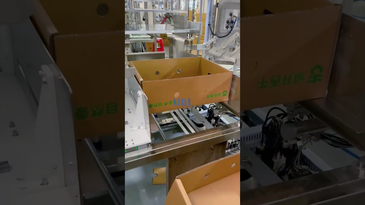 Box Folding Machine