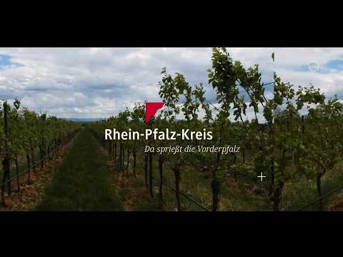Rhein-Pfalz-Kreis - Meilensteine der Rockgeschichte 2: Stefan Gebert/Frank Steuerwald