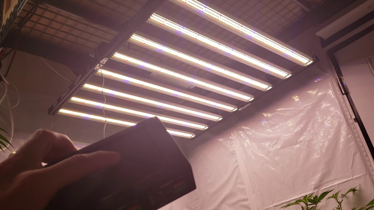 Automated Sunrise & Sunset - OpticLED Master Controller.