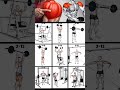 top exercises for shoulder workout 🔥🔥🔥#explorepage #motivation #youtubeshorts #homeworkout