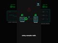 How does HTTPS SSL TLS work