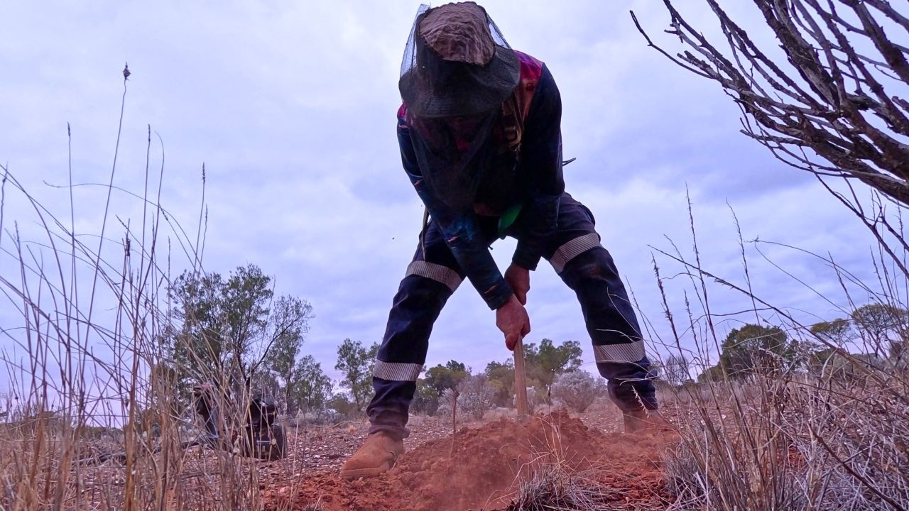 Gold Prospecting Western Australia FEB 26 | Detecting GOLD in HAMMERED Ground