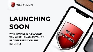 How To Use WAK TUNNEL Free Internet VPN App screenshot 3
