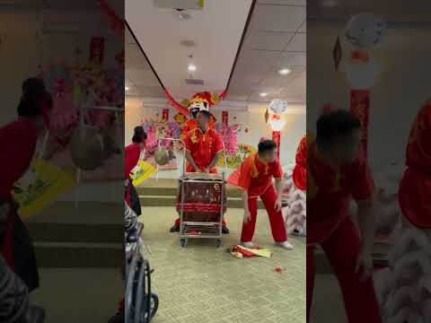 Dragon Team Bookings Wushu Shaolin Entertainment