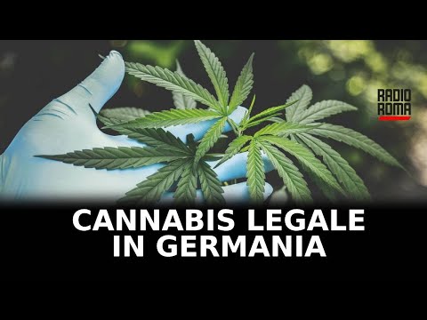 Cannabis legale in Germania: arriva il via libera
