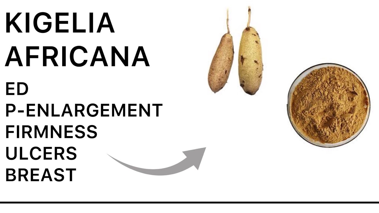 PENIS ENLARGEMENT,MALE ENHANCEMENT&BREAST FIRMNESS KIGELIA AFRICANA