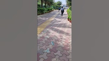 VIPS College Entry #6 | #vips | #college | #delhiuniversity | #ggsipu | #delhi | #students | #music