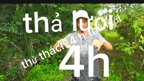 Thử thách 4 h thả lưới đánh bắt cá cuộc sống mưu sinh của nông dân quê hương