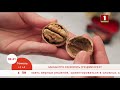 5 способов быстро очистить грецкие орехи