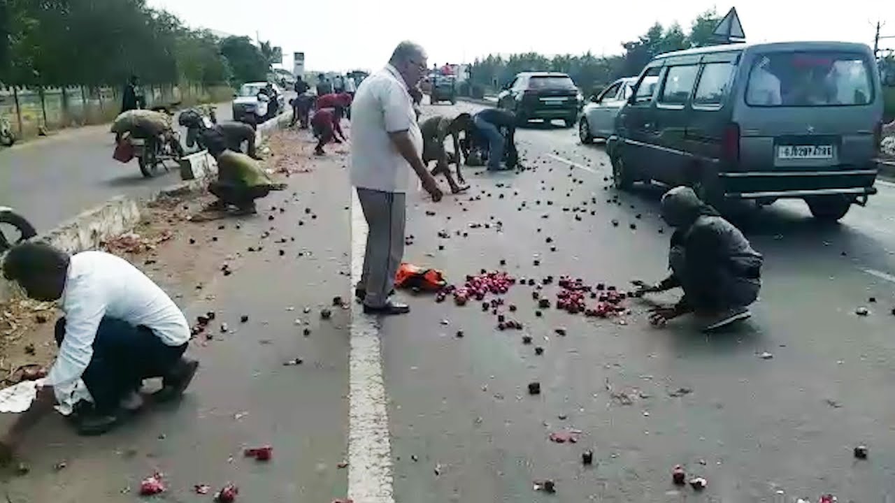 Sacks open up accidentally, hundreds scurry to pick onions on Gujarat highway