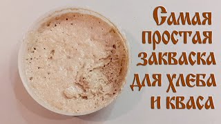 Ржаная вечная закваска для хлеба и кваса без дрожжей. Самый простой и быстрый способ