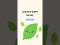 Why Leaves Change Colour in Autumn — Science Explanation for Kids #shorts