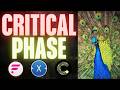 FLARE WHAT Can It Do Better For Growth?! | XDC Big Bet For Adoption, Canton Special Things Coming