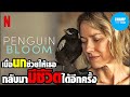 เมื่อนกช่วยให้เธอกลับมามีชีวิตได้อีกครั้ง [สปอยหนัง] Penguin Bloom (2020) by CHAMP Studio