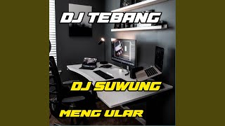 DJ SUWUNG X ULAR-inst