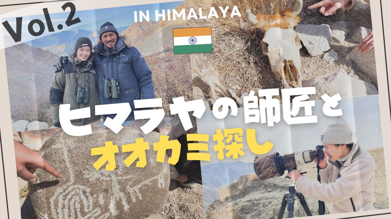 絶景のヒマラヤの世界でウォーキングサファリ！幻のオオカミやユキヒョウとも遭遇？ユキヒョウツアーVol.2