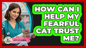 How Can I Help My Fearful Cat Trust Me? - Happy Cat Handbook