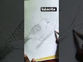 Tune 0 rangile kaisa Jadu Kiya..easy pigeon 🐦 drawing #pegeon#drawing🐦🙏🥰