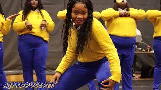 Sigma Gamma Rho Fall 2023 Neophyte Presentation | Lambda Beta Poodles at Valdosta State University