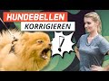 Pepe bellt Mensch & Hund an! Unsicheren Hund korrigieren