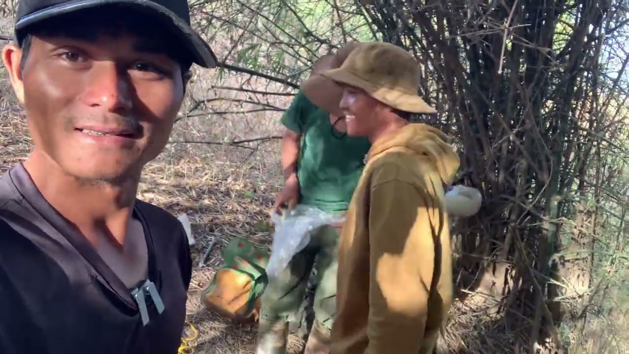 đợt cuối anh em vào rừng bẫy chuột(chuột rừng siêu to)