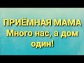 Дневник приёмной мамы/Обзор.