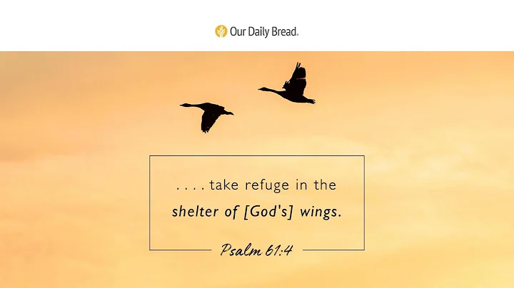 Under God's Wings | Audio Reading | Our Daily Bread Devotional | October 31, 2023