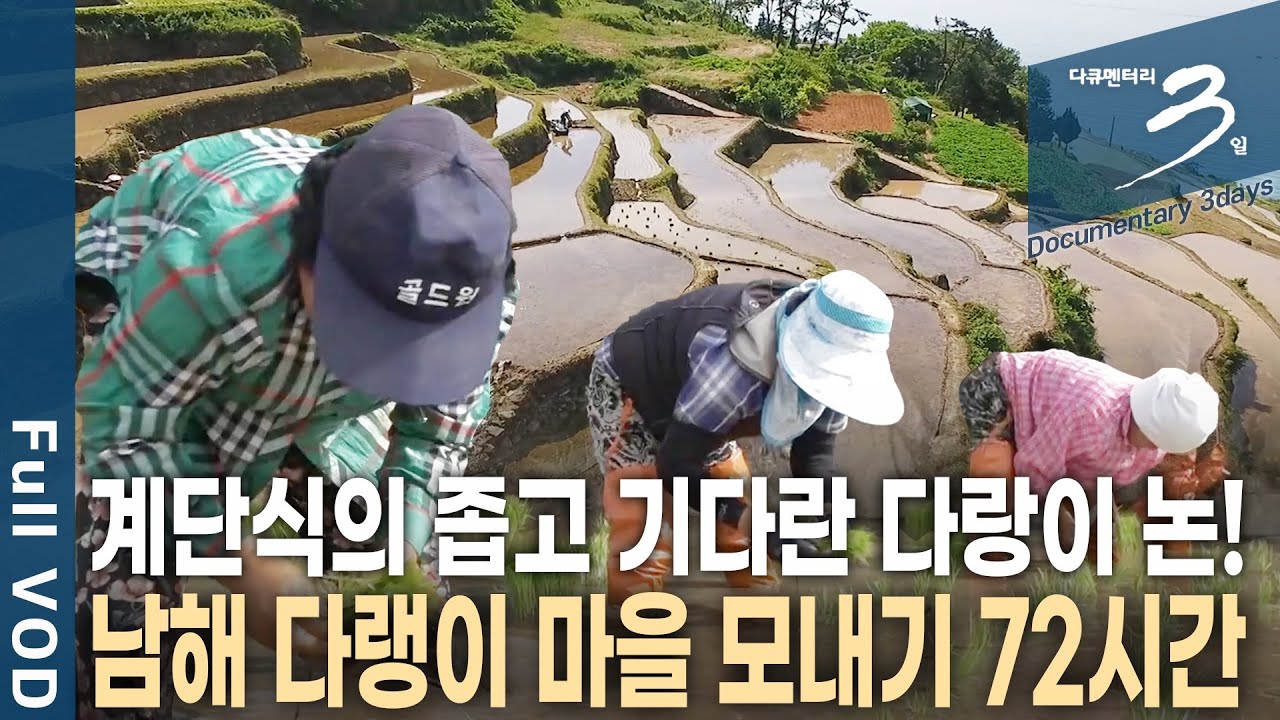 [다큐3일📸] 오늘은 모내기 하는 날! 경사 40도 다랑이 논 한 배미마다 인생이 담겨있다. 경남 남해 다랭이 마을의 모내기 72시간 | KBS 2019.06.23