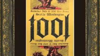 Tool - The Patient (live Seattle 10) - audio