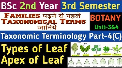 Plant Taxonomic Terminology/Types of Leaf/Apex of Leaf/Simple and Compound Leaf/Acute/Caudate/Obtuse