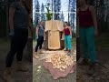 Tree stump home build timelapse