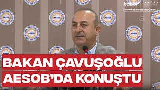 Dışişleri Bakanı Ve Ak Parti Antalya Milletvekili Adayı Mevlüt Çavuşoğlunun Konuşması