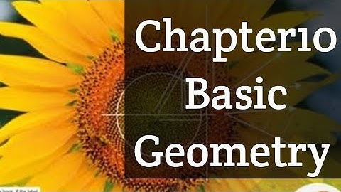 Basic Geometry Ex10 B Q2 NSM1 D1 O level maths