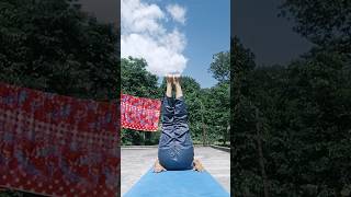 Everyday Beginner Yoga for Better Health #shorts #yoga #morningroutine