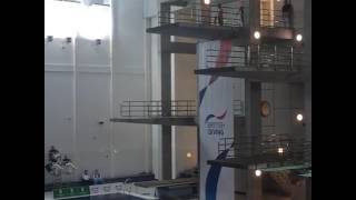 Celebrity Tom Daley and Tonia Couch. Mixed 10m synchro. Dive 3. (British National Diving Cup 2017) Net Worth