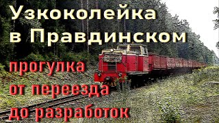 видео: УЖД Правдинский картинка: УЖД Правдинский