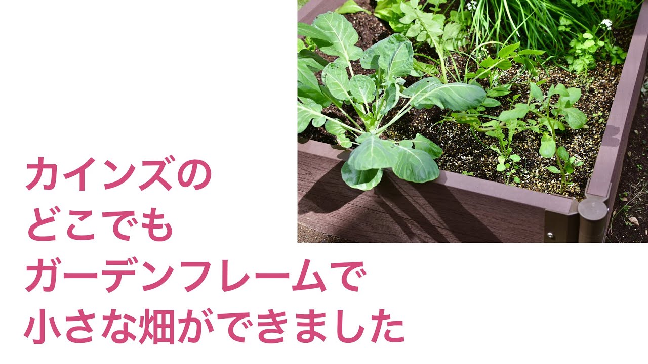 カインズのどこでもガーデンフレームで小さな畑ができました Youtube