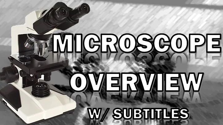 How to Use a Microscope (With Subtitles) - Ohio University - Anatomy & Physiology
