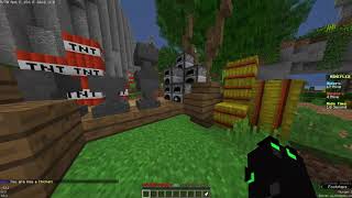Mineplex Arrow Bug