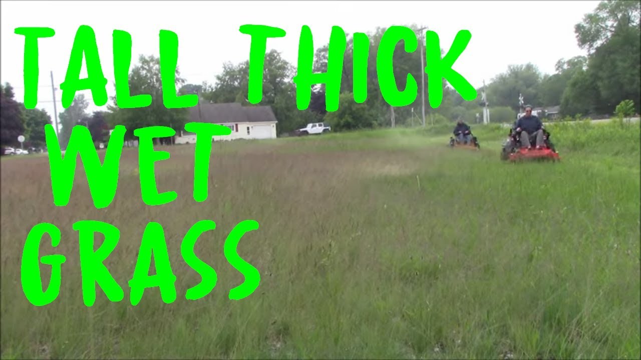 Mowing 2 Foot Tall Thick Wet Grass Field with 2 Zero Turns
