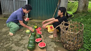 The daily life of a boy selling watermelons and making bamboo kitchen doors , raising ducks and pigs