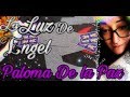 Abril -Tirada de tarot-la paloma de la paz-Tienes algún problema?. Ella te lo soluciona!.