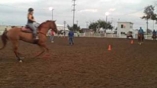 100th Bluffton Street Fair Horse and Pony Show (2)